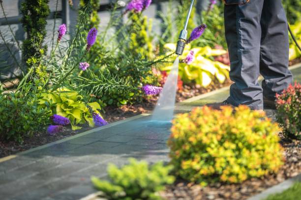 Best Sidewalk and Walkway Cleaning  in Bonne Terre, MO